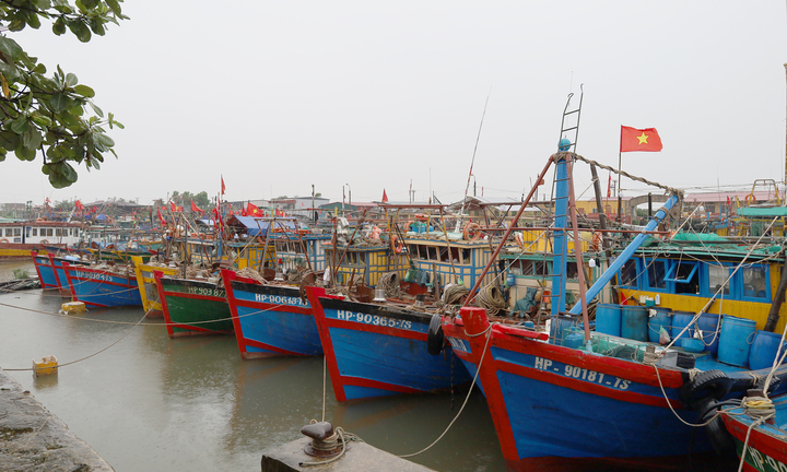 Hải Phòng, Hưng Yên liên tục chỉ đạo sẵn sàng ứng phó siêu bão Ragasa