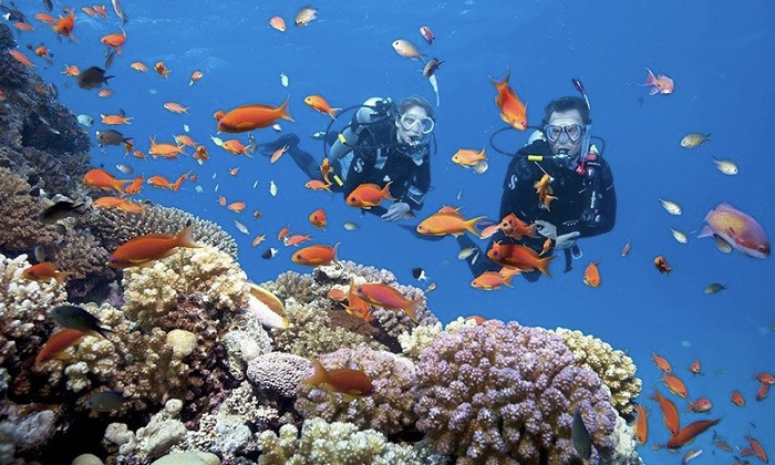 Hai thợ lặn tại Quảng Trị gặp nạn, người tử vong, người đang nguy kịch