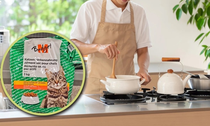 Chàng trai ăn thức ăn cho mèo để tiết kiệm tiền khi học tiến sỹ ở nước ngoài