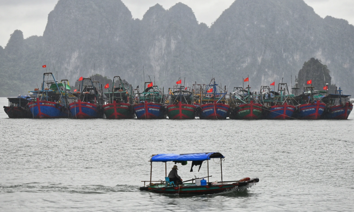 Ragasa suy yếu thành áp thấp nhiệt đới, người dân Quảng Ninh thở phào nhẹ nhõm