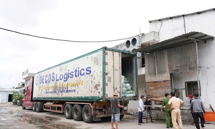 Xe đầu kéo chở 30 tấn thịt lợn, dê và chân gà không rõ nguồn gốc