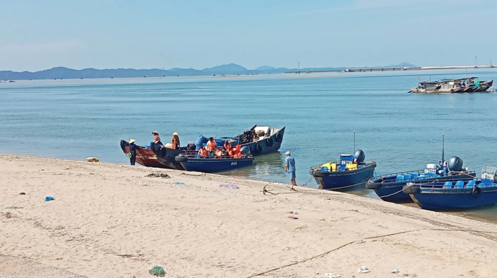 Động thổ mỏ cát Đông Bắc A hơn 5,3 triệu m3 ở Quảng Ninh