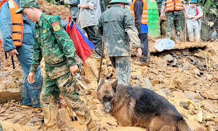 Huy động hơn 200 người và chó nghiệp vụ tìm 4 nạn nhân sạt lở ở Tuyên Quang