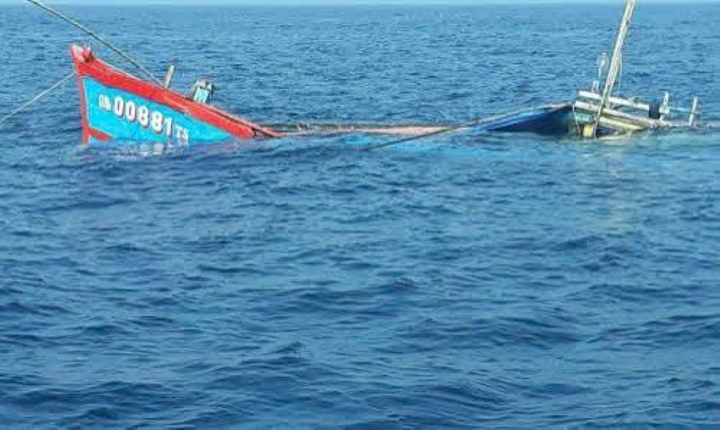 Tàu cá Bình Định cùng 11 ngư dân bị tàu lạ tông chìm, thuyền trưởng mất tích