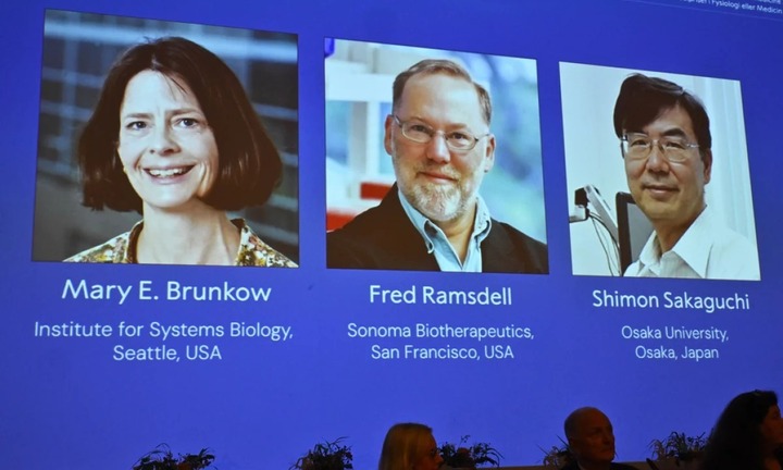 Nobel Y học trao cho 3 nhà khoa học nghiên cứu 'dung nạp miễn dịch ngoại biên'