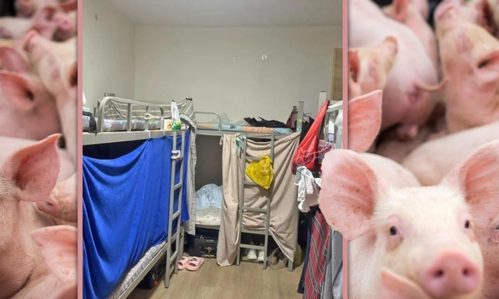 Cảnh sống chen chúc trong căn hộ 'như chuồng heo' ở Singapore gây vỡ mộng