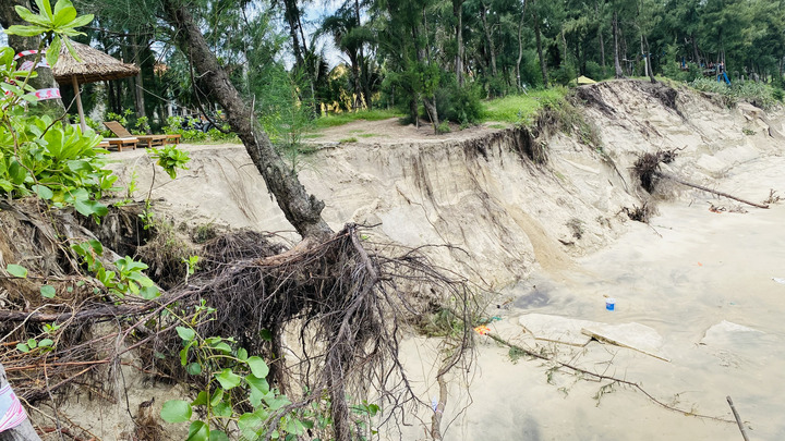 Sóng 'nuốt' đường bêtông, 'ngoạm' bật gốc phi lao, công phá bờ biển Hội An