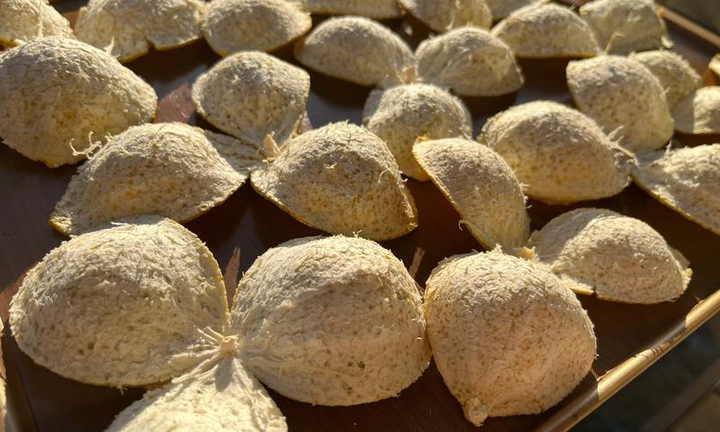 Loại vỏ trái cây thường bị bỏ đi lại được người Trung Quốc ví như thuốc quý