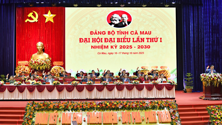 Toàn cảnh phiên trù bị Đại hội đại biểu Đảng bộ tỉnh Cà Mau nhiệm kỳ 2025 - 2030