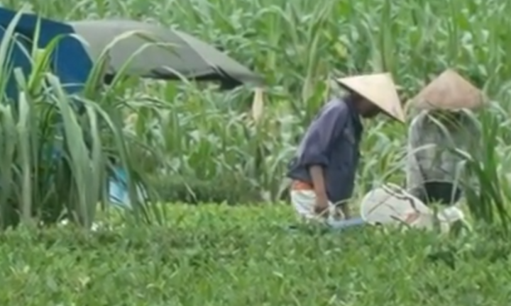Thái Nguyên: Nông dân điêu đứng nhìn sản nghiệp bị lũ cuốn trôi 