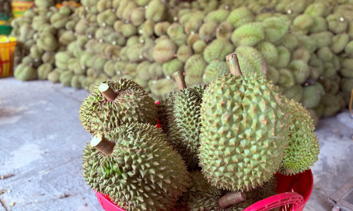 Xôn xao thông tin các kho ngừng thu mua sầu riêng: Thương lái, nhà vườn lo lắng