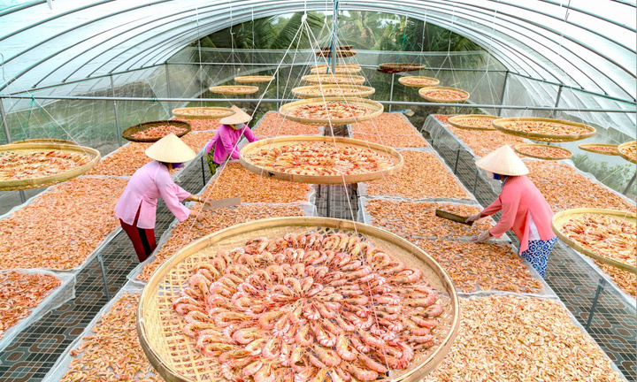 Loạt thủy hải sản độc lạ sắp ra mắt tại Hội chợ mùa Thu 2025