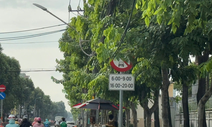 Biển báo giao thông 'núp lùm' ở TP.HCM: Sở Xây dựng lên tiếng 