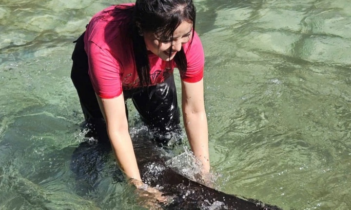 Cá tầm 50kg lớn nhất Lai Châu được bán đấu giá bao nhiêu?