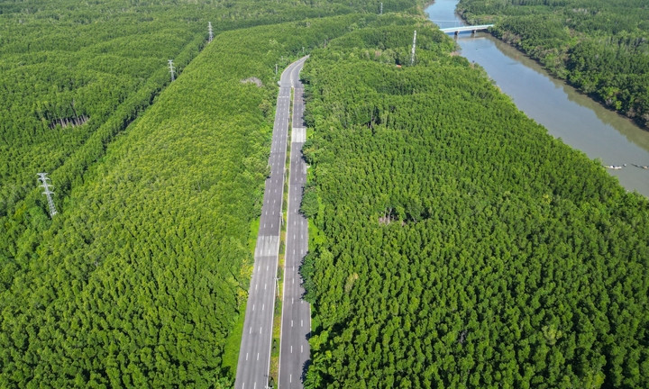 Việt Nam cần khoảng 28 tỷ USD cho chuyển đổi xanh đến 2030