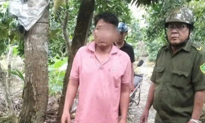 Khởi tố người đàn ông hái trộm mít ở Đồng Tháp