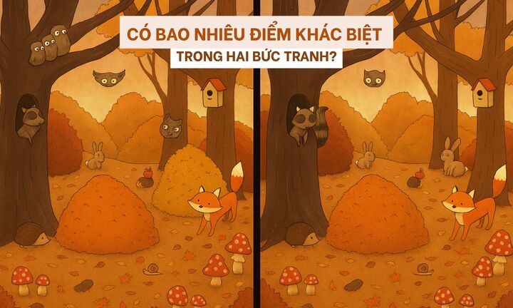 Câu đố dành cho người thuộc top tinh mắt nhất