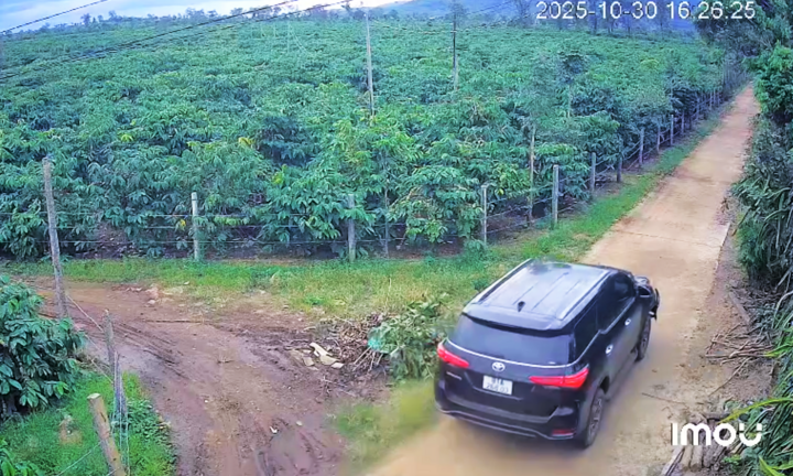 Danh tính lái xe ô tô tông chết người rồi bỏ trốn vào rẫy người dân Gia Lai