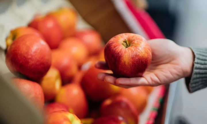 Mẹo bảo quản táo tươi suốt mùa đông của chuyên gia làm vườn