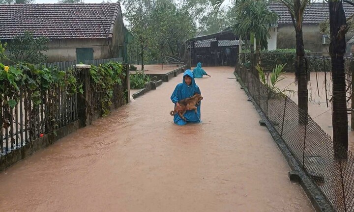 Lũ dâng trong đêm, hàng nghìn hộ dân ở Hà Tĩnh chìm trong biển nước