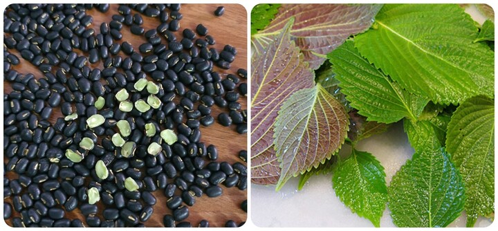 Uống nước tía tô đậu đen có tác dụng gì?