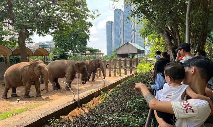 Thảo Cầm Viên Sài Gòn ‘bỏ túi’ 450 triệu đồng/ngày