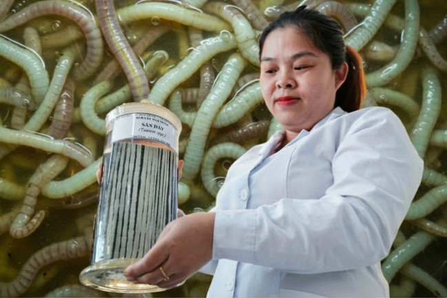 Bên trong bảo tàng lưu giữ những 'kẻ ký sinh' nguy hiểm nhất với con người