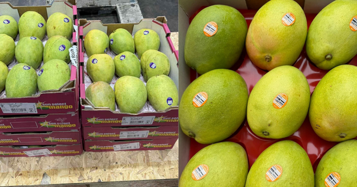 Xoài Úc 'đi máy bay' vào Việt Nam, giá gần 1 triệu đồng/kg vẫn cháy hàng