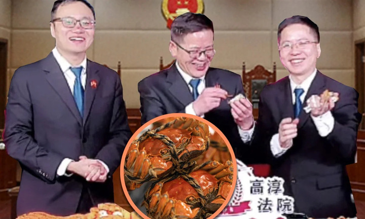 3 thẩm phán livestream bán cua giúp người dân phá sản trả nợ