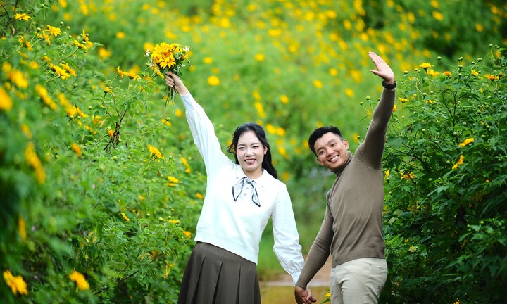 Dã quỳ nhuộm vàng phố núi, Đà Lạt vào mùa đẹp nhất năm