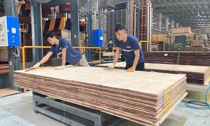 Ván ép Việt Nam xuất khẩu khắp thế giới: Cơ hội và thách thức?