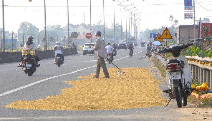 Chặn đường phơi thóc - cái bẫy giết người nhân danh thói quen