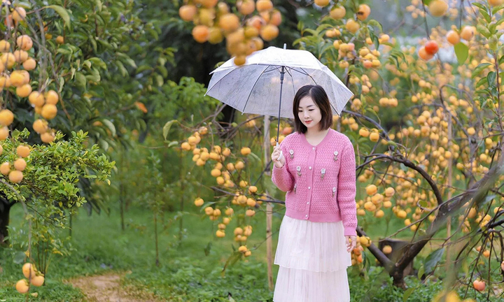 Dự báo thời tiết 12/11: Miền Bắc hửng nắng trước khi chuyển rét sâu