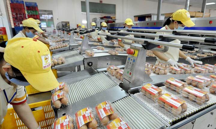 Công ty Ba Huân nợ thuế 51 tỷ đồng, bị dừng làm thủ tục xuất nhập khẩu