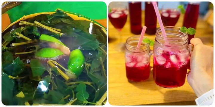 Uống nước tía tô mỗi ngày có tốt cho sức khoẻ?