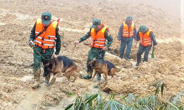 Toàn cảnh vụ sạt lở núi kinh hoàng ở Đà Nẵng khiến 3 người mất tích