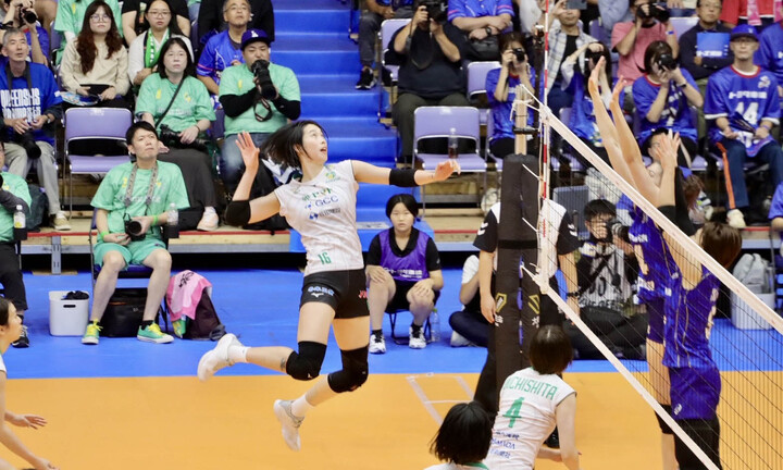 Thanh Thúy ghi dấu ấn giúp đội bóng chuyền Nhật Bản thắng liên tiếp