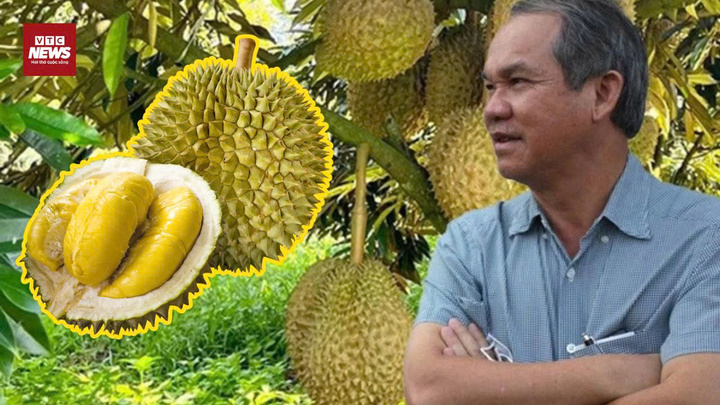 Bầu Đức tung 'át chủ bài' sầu riêng: Xây dựng kho lạnh 20.000m² để bán trái vụ