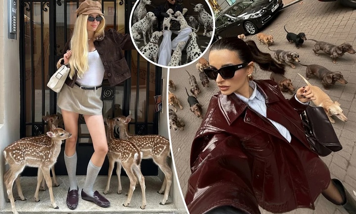 Trào lưu tạo dáng cùng các loài động vật AI gây tranh cãi