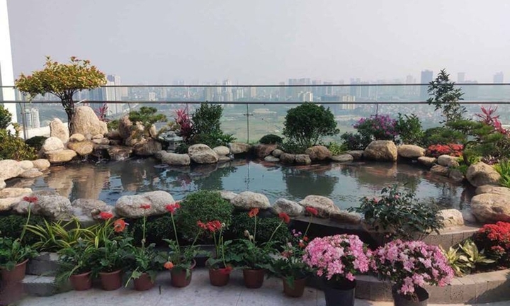 Tham khảo những mẫu hồ cá Koi đẹp trong nhà