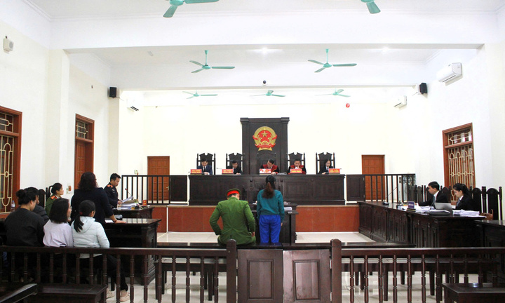 Lừa bạn gái của em đưa 1 tỷ đồng mua đất rồi chiếm đoạt, người chị bị kết án 13 năm