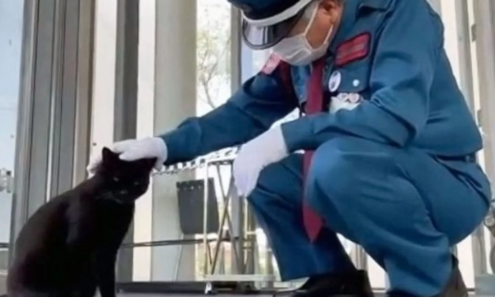 Bảo tàng vinh danh tình bạn đặc biệt của người bảo vệ và chú mèo