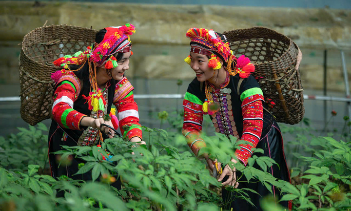 Nâng tầm sản phẩm vùng đồng bào dân tộc thiểu số và miền núi phía Bắc