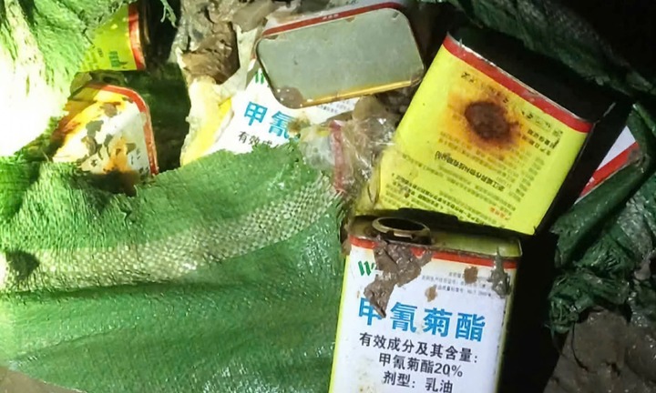 Truy tìm thủ phạm thả hóa chất lạ đầu độc vùng nước ven biển Quảng Ninh