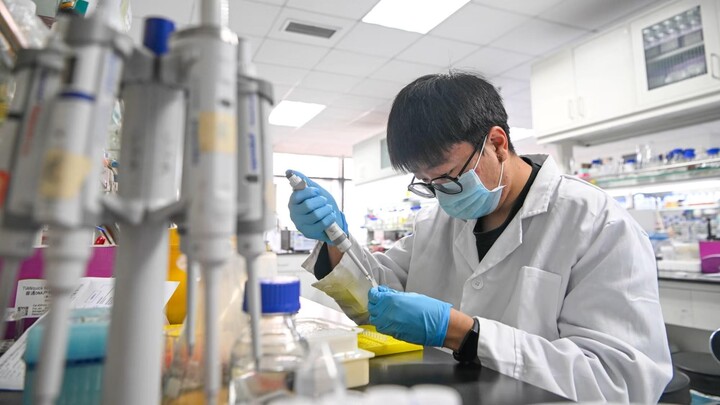 Cách Trung Quốc thu hút các tinh hoa khoa học về nước