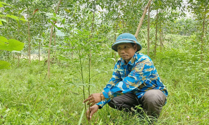 Miền núi Đà Nẵng ' khoác áo mới' nhờ các Chương trình mục tiêu quốc gia