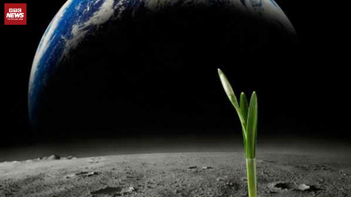 Phát hiện vỏ Trái Đất mềm như sáp: Manh mối sự sống ngoài hành tinh dần hiện hữu