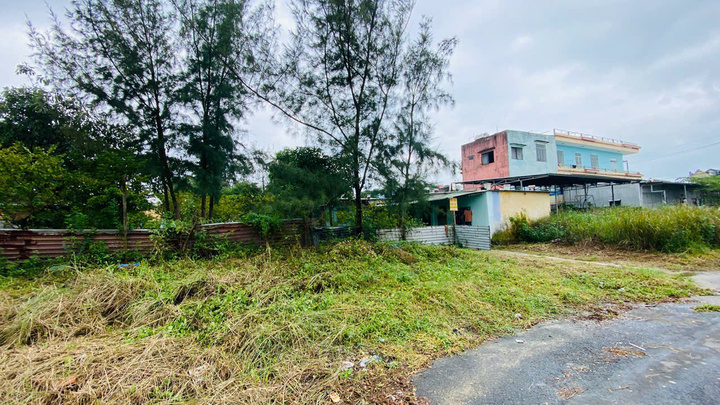 Đại biểu HĐND Đà Nẵng: Thành phố cần tiếp tục giữ ổn định giá đất