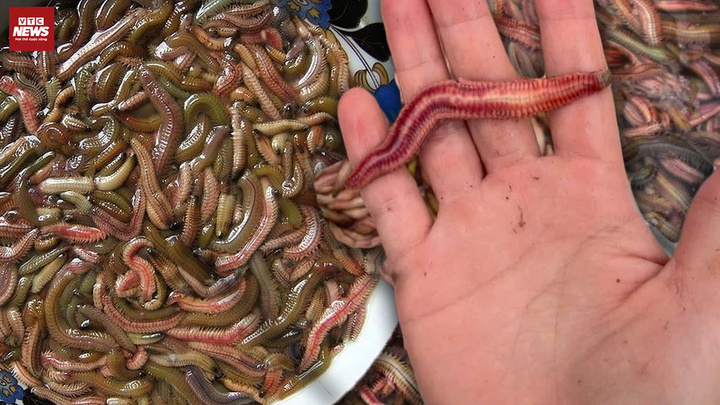 'Lộc trời' béo tròn, người hào hứng, kẻ sợ phát khiếp