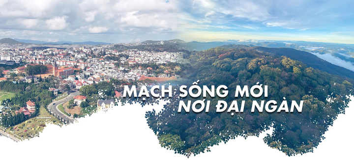 Mạch sống mới nơi đại ngàn